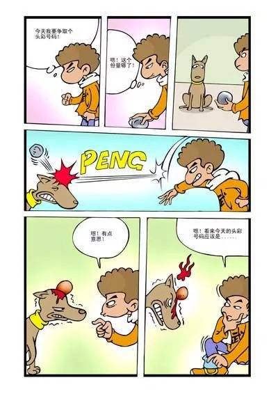 8.jpg